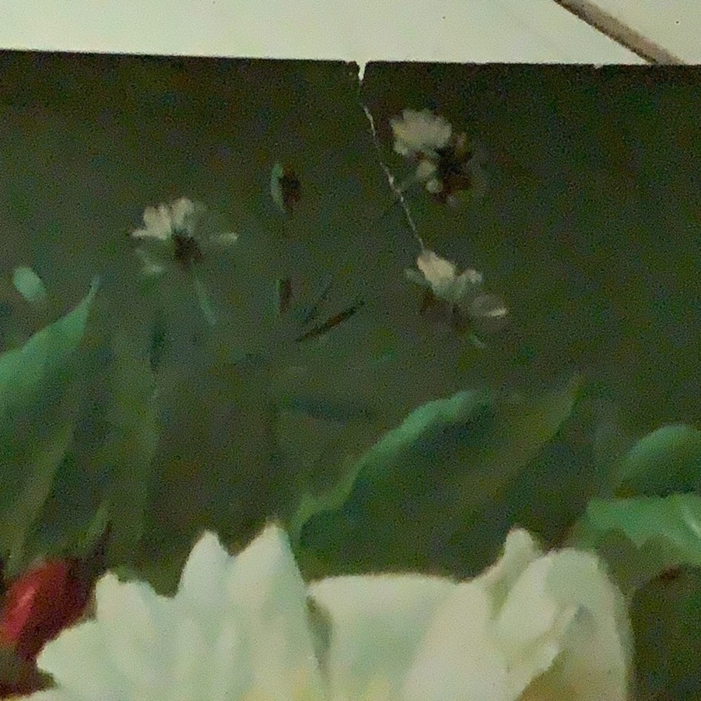 1930’s Fragrance In Bloom Jean Baptist Robie French Still Life Litho Print - Picture 11 of 12